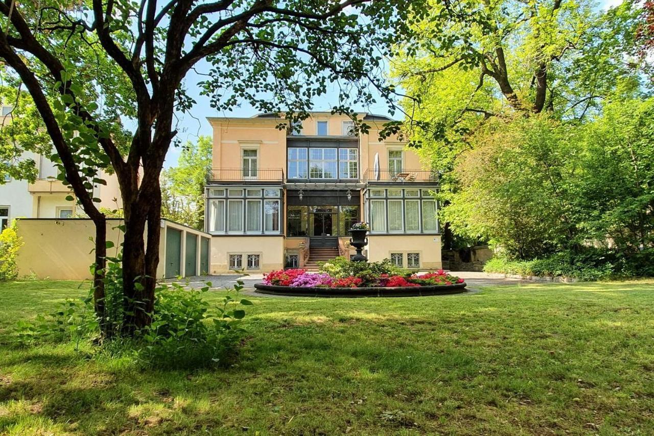 Haniel Paul Apartment Dresden